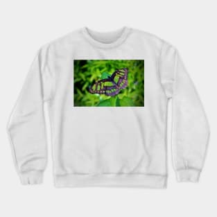 Green And Black Butterfly Crewneck Sweatshirt